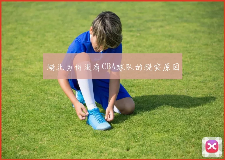湖北为何没有CBA球队的现实原因