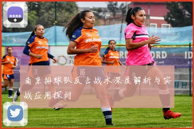 南京排球队反击战术深度解析与实战应用探讨
