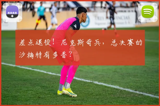 差点退役！尼克斯奇兵，总决赛的沙梅特有多香？